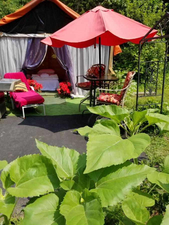 Ethel Maud Place Hotel Severn Ngoại thất bức ảnh
